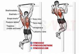 Image result for Pull-Ups Exercise