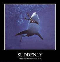 Image result for Shark Meme Brain Explode