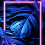 Image result for Blue Purple Color Neon