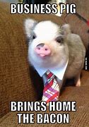 Image result for Yeth Pig Meme