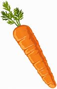 Image result for Orange Carrot Cartoon