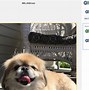 Image result for Dropbox Features and Benefits