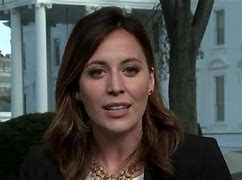 Image result for NBC White House Reporter