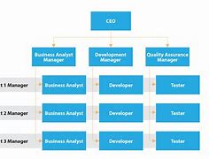 Image result for Domestic Corporation Structure