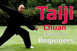 Image result for Tai Chi Chen Style for Beginners