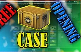 Image result for 22 On Case CS