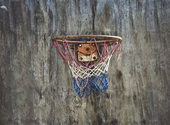 Image result for The First Basketball Hoop