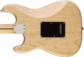 Image result for Fender Strat Backplate