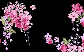 Image result for Clip Art of Pink and Black Flowers Background
