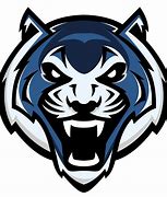 Image result for Detroit Tigers Logo