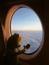 Image result for Kermit Looking Out of Window Meme