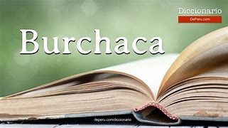 Image result for burchaca