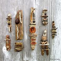 Image result for Assemblage Nature