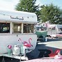 Image result for Pink Flamingos at RV Parks
