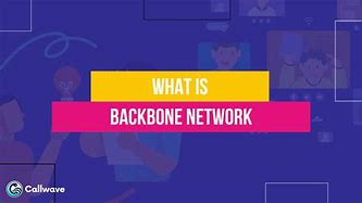Image result for Backbone Network