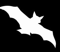 Image result for Funny Bat Drawings