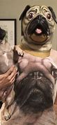 Image result for Random Pug Memes