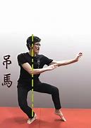 Image result for Kung Fu Stances