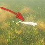 Image result for World's Largest Fishing Lure