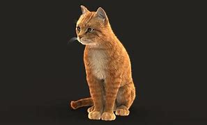 Image result for Animated Cat 3D Model