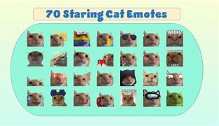 Image result for Animated Stare Meme