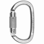 Image result for Double Locking Carabiner