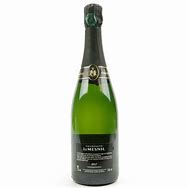 Image result for Champagne Mesnil Champagne Blanc Blancs Millesime