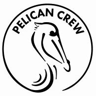 Image result for Pelican Ocean