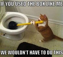 Image result for Toilet Cat Meme