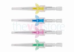 Image result for Veterinary IV Catheters