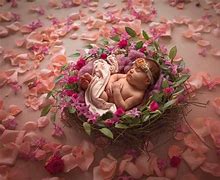 Image result for Baby Photography Backdrops