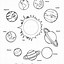 Image result for Worksheets Solar System Coloring Pages