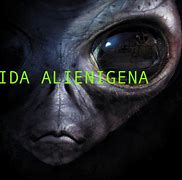 Image result for alienidta