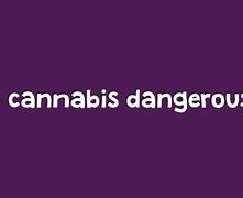 Image result for 10 Harmful Effects of Marijuana