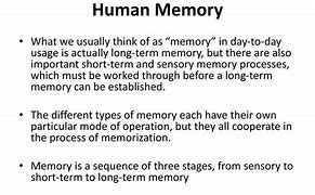 Image result for History On Human Memory