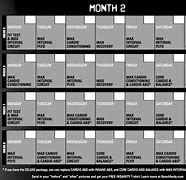 Image result for Insanity 60-Day Workout Calendar