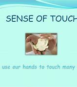 Image result for Touch Screen Sens