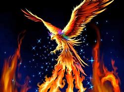 Image result for Luces Ave Fenix