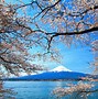 Image result for mt fuji cherry blossoms wallpapers
