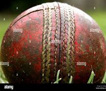 Image result for Images to Be Used with a Cricket