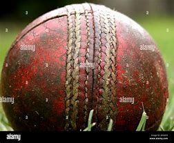 Image result for Which Ball Is Used in Cricket