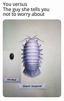 Image result for Giant Isopod Meme