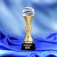 Image result for NBA Finsld Trophy