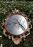 Image result for Xoaerial Mirror