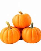 Image result for Fall Scenery with Pumpkins