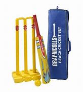 Image result for Cricket Sets for Adults