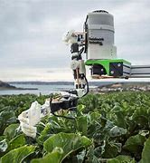 Image result for Waxberry Picking Robot