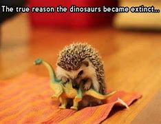 Image result for Pet Dinosaur Meme