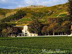 Image result for Groot Constantia Pinotage Landgoedwyn Superieur