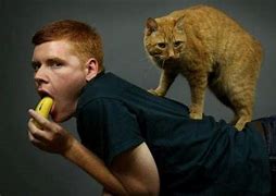 Image result for Man Holding Cat Meme